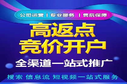 百度竞价推广与SEO结合的策略——以某科技公司为例